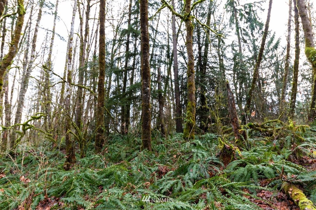 0 Clark Road Onalaska, WA 98570 - Photo 17 of 21 Gallery Image 17