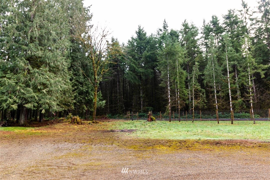 0 Clark Road Onalaska, WA 98570 - Photo 8 of 21 Gallery Image 8