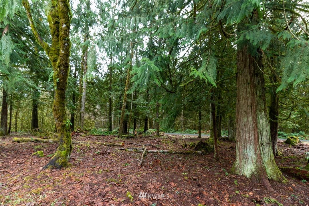 0 Clark Road Onalaska, WA 98570 - Photo 9 of 21 Gallery Image 9