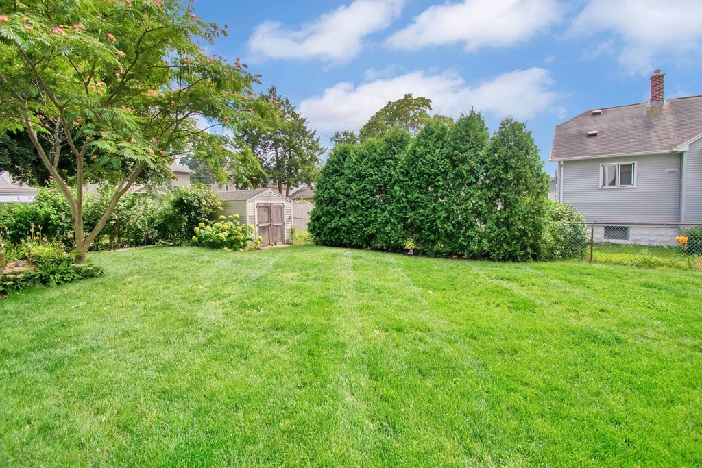 151 Rimmon Avenue Chicopee, MA 01013 - Photo 33 of 39 a view of a big yard with plants and large trees