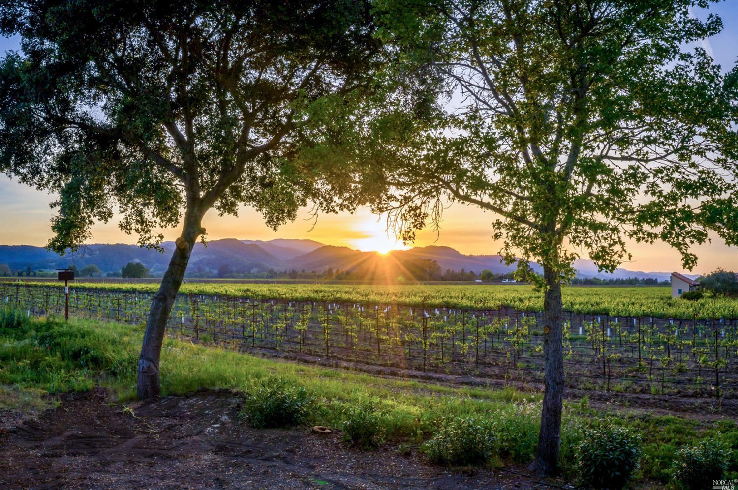 5075 Big Ranch Road Napa, CA 94558 - Photo 1 of 1 a view of outdoor space and yard