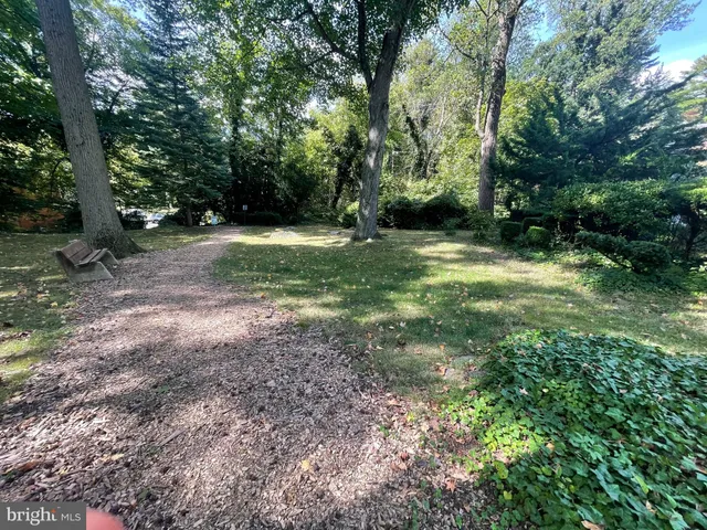 a view of outdoor space with trees all around