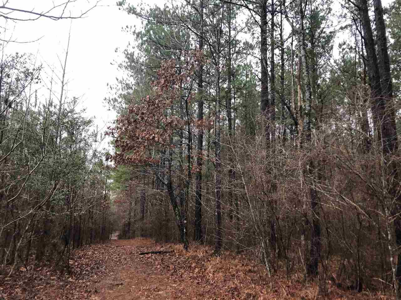 6 St-johns Road, Unit 6 Braxton, MS 39044 - Photo 1 of 5 Photo 1