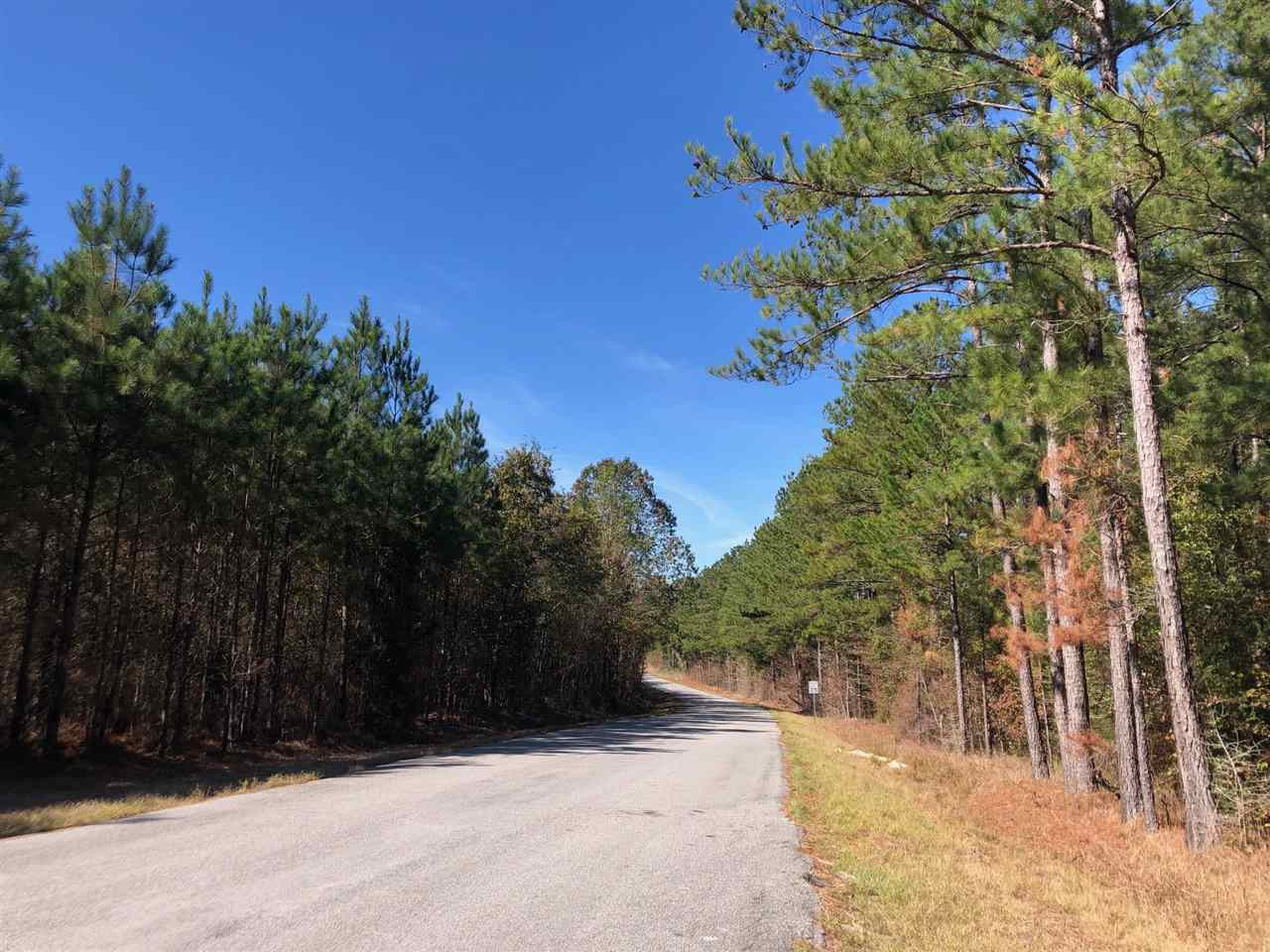 6 St-johns Road, Unit 6 Braxton, MS 39044 - Photo 2 of 5 Photo 2