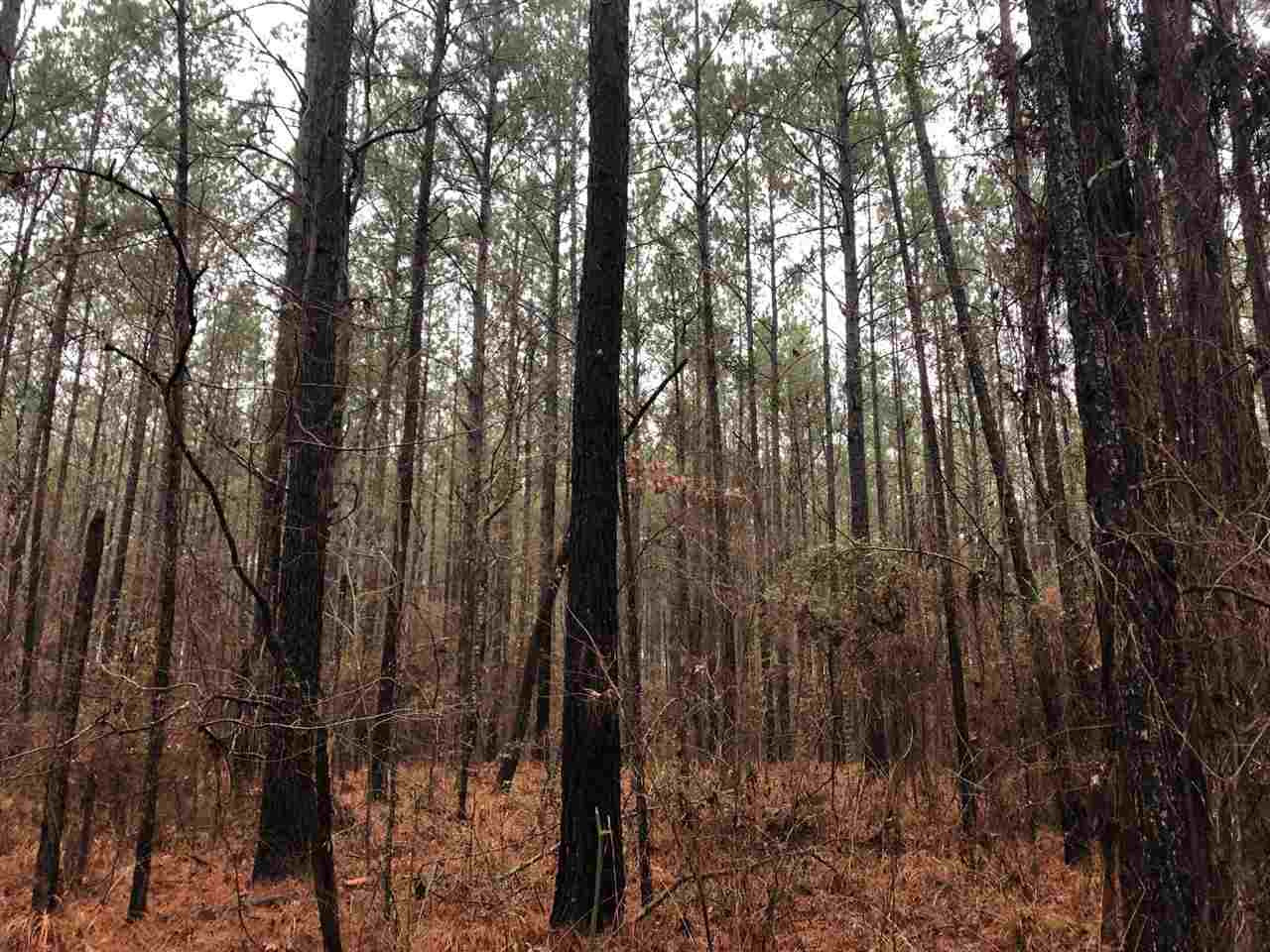 6 St-johns Road, Unit 6 Braxton, MS 39044 - Photo 4 of 5 Photo 4