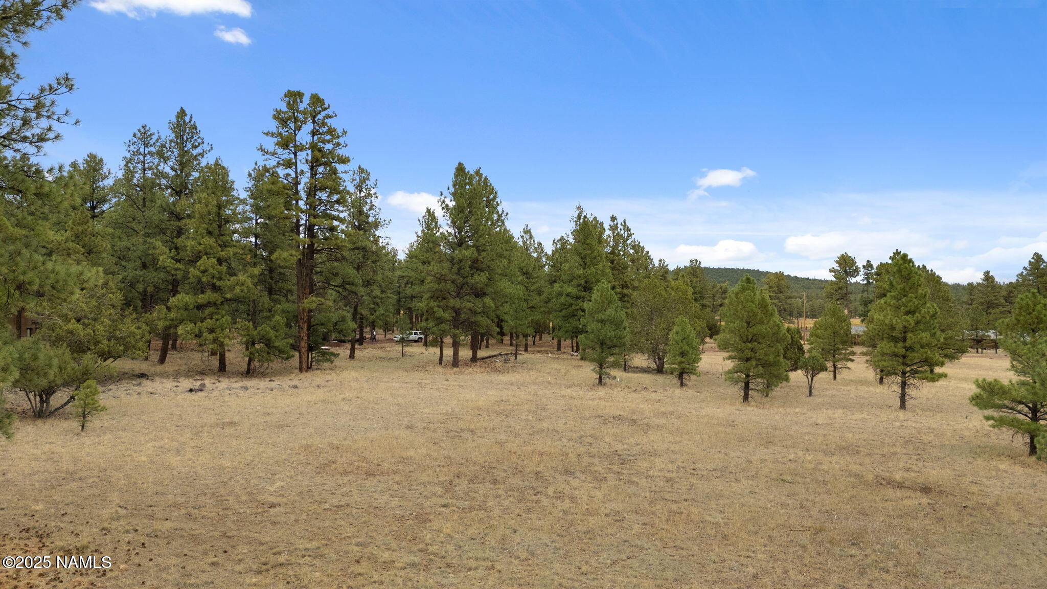 630 Cooper Ranch Road Williams, AZ 86046 - Photo 12 of 33 a view of a field with trees in the background