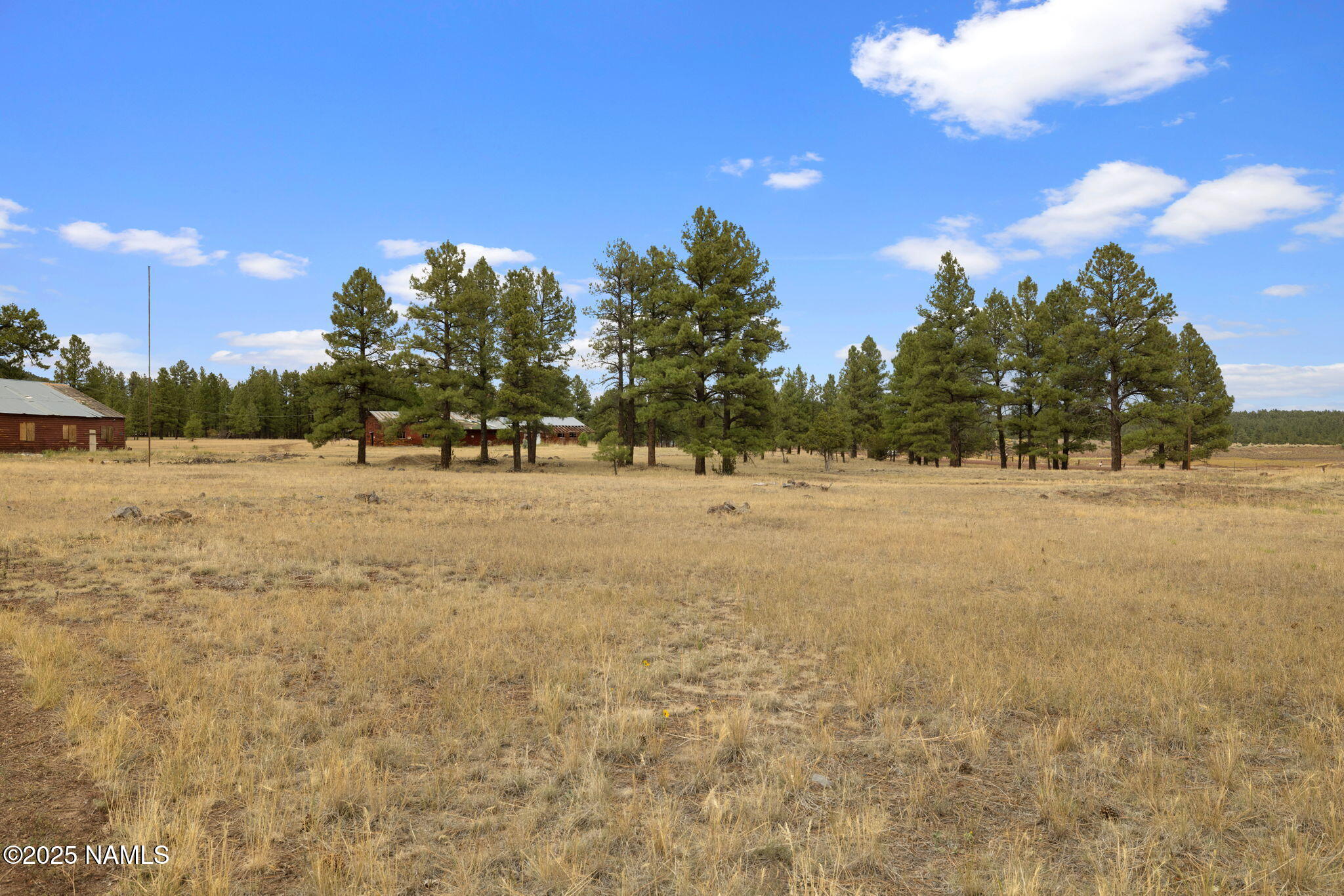 630 Cooper Ranch Road Williams, AZ 86046 - Photo 14 of 33 a view of open space with trees