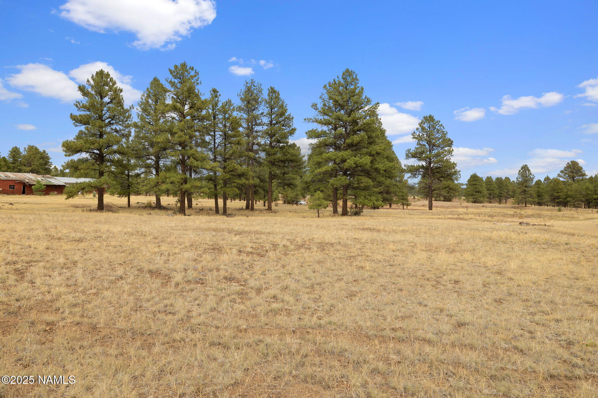 630 Cooper Ranch Road Williams, AZ 86046 - Photo 15 of 33 a view of outdoor space with trees