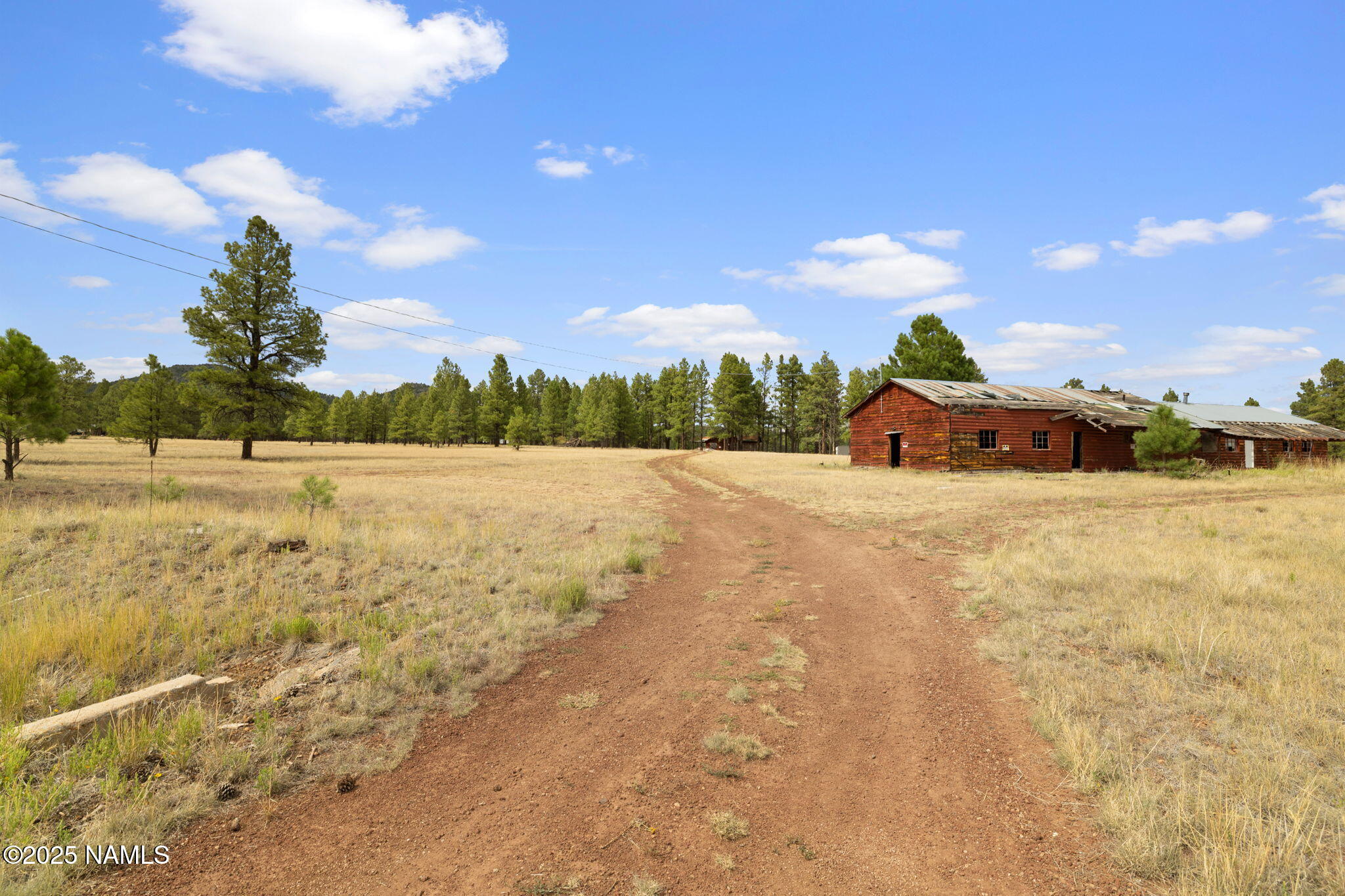 630 Cooper Ranch Road Williams, AZ 86046 - Photo 17 of 33 a view of ocean with large tree