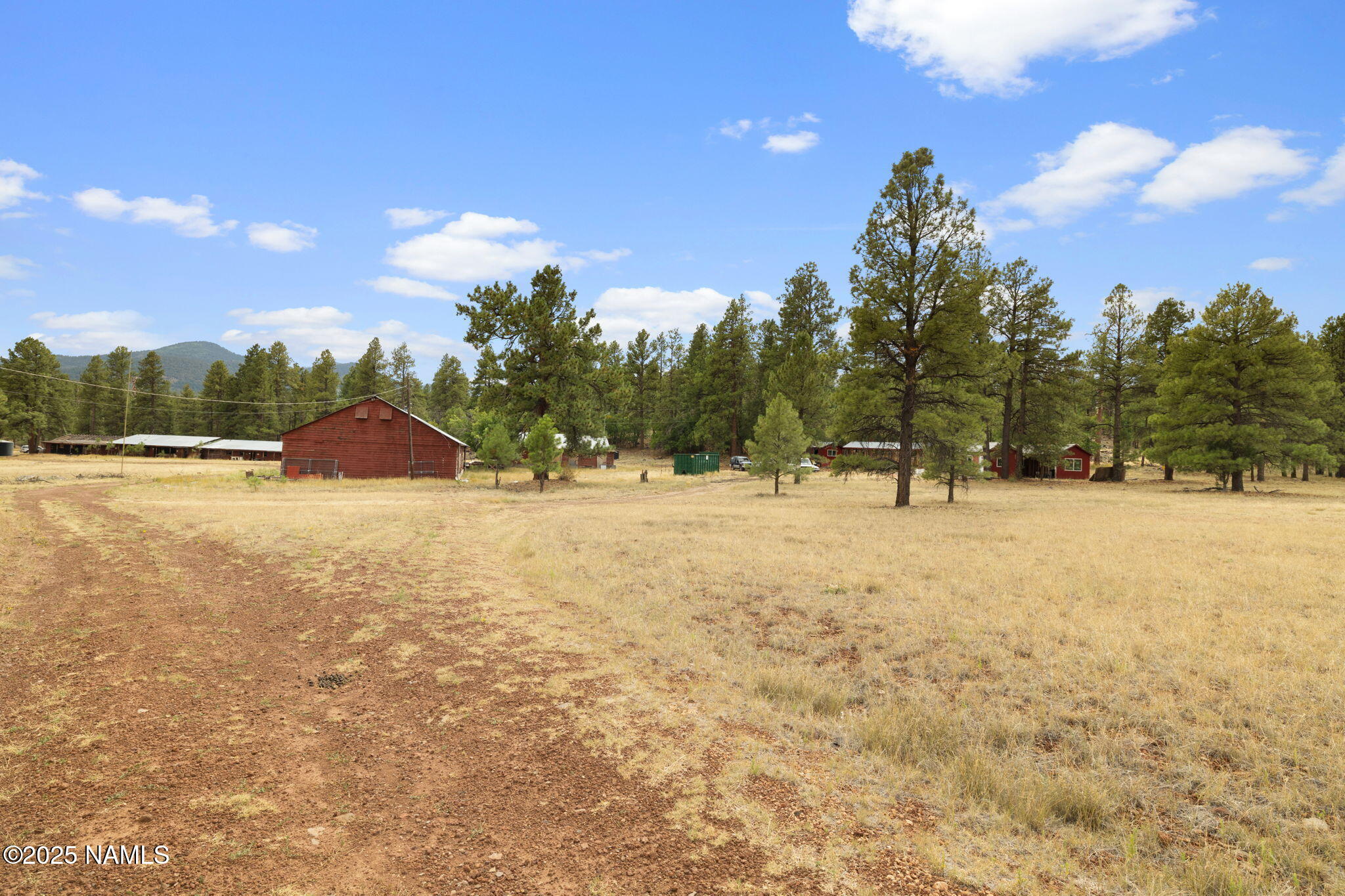 630 Cooper Ranch Road Williams, AZ 86046 - Photo 19 of 33 a view of outdoor space with trees