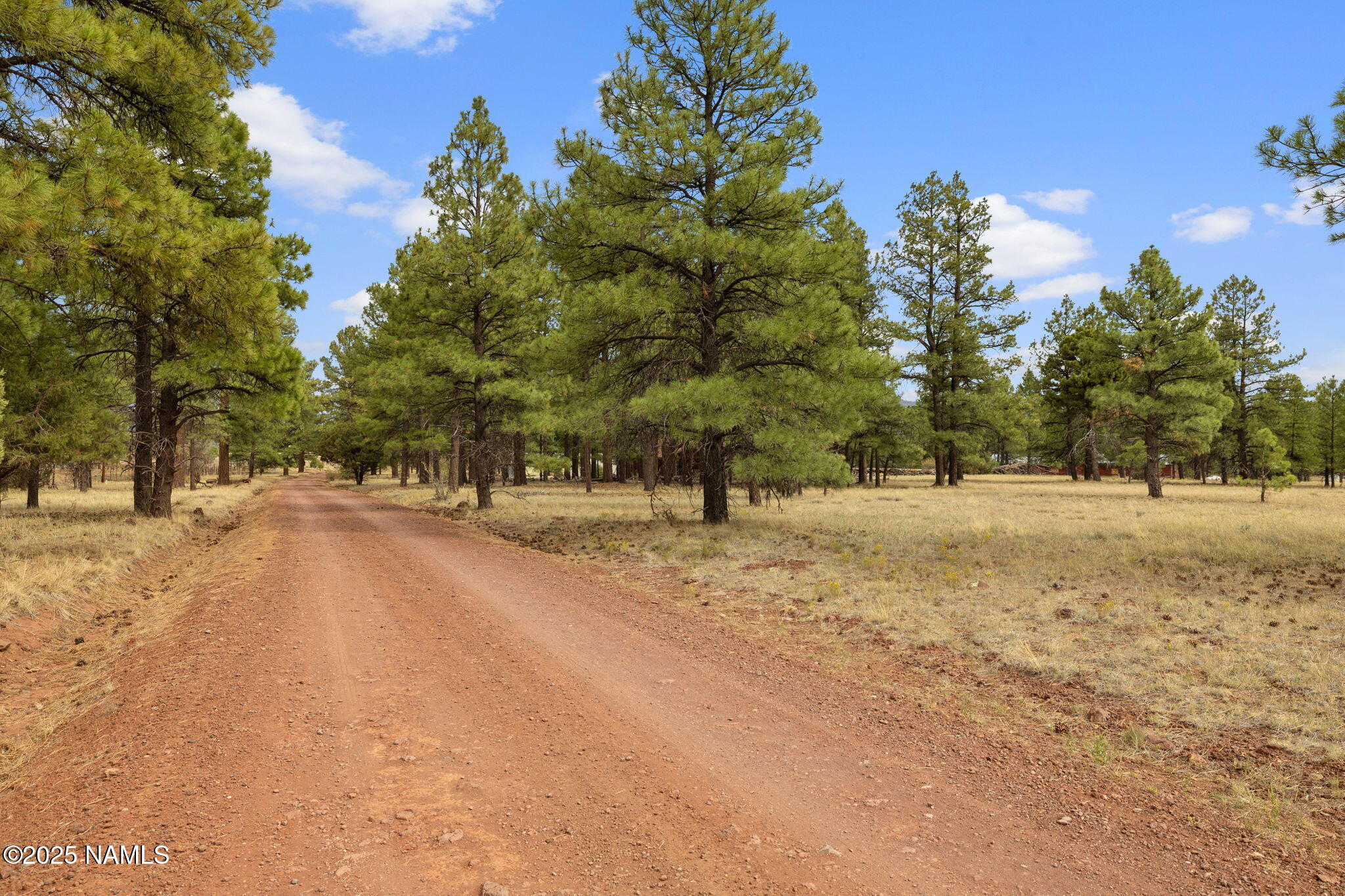 630 Cooper Ranch Road Williams, AZ 86046 - Photo 26 of 33 a view of road with trees