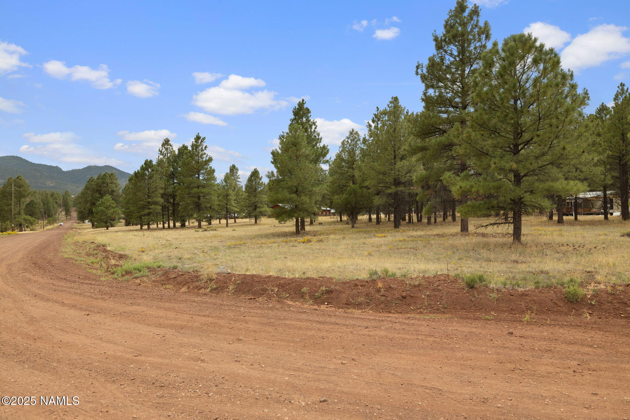 630 Cooper Ranch Road Williams, AZ 86046 - Photo 29 of 33 a view of outdoor space with trees