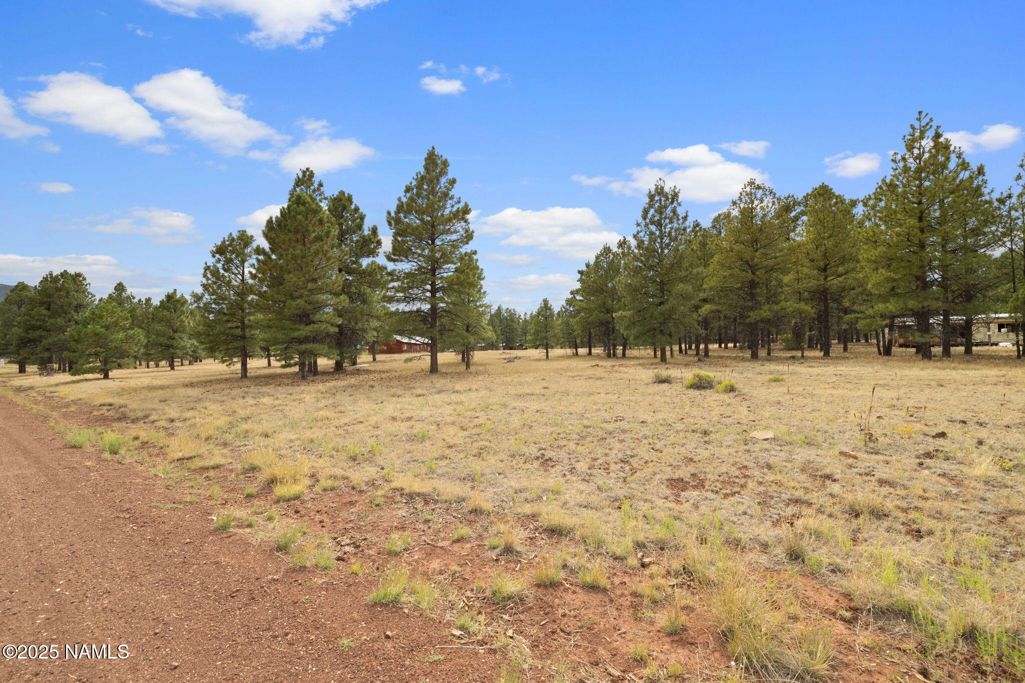 630 Cooper Ranch Road Williams, AZ 86046 - Photo 31 of 33 a view of covered with snow