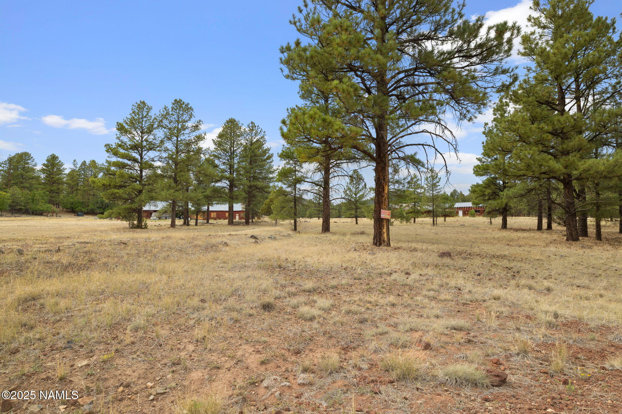 630 Cooper Ranch Road Williams, AZ 86046 - Photo 33 of 33 a view of road with trees