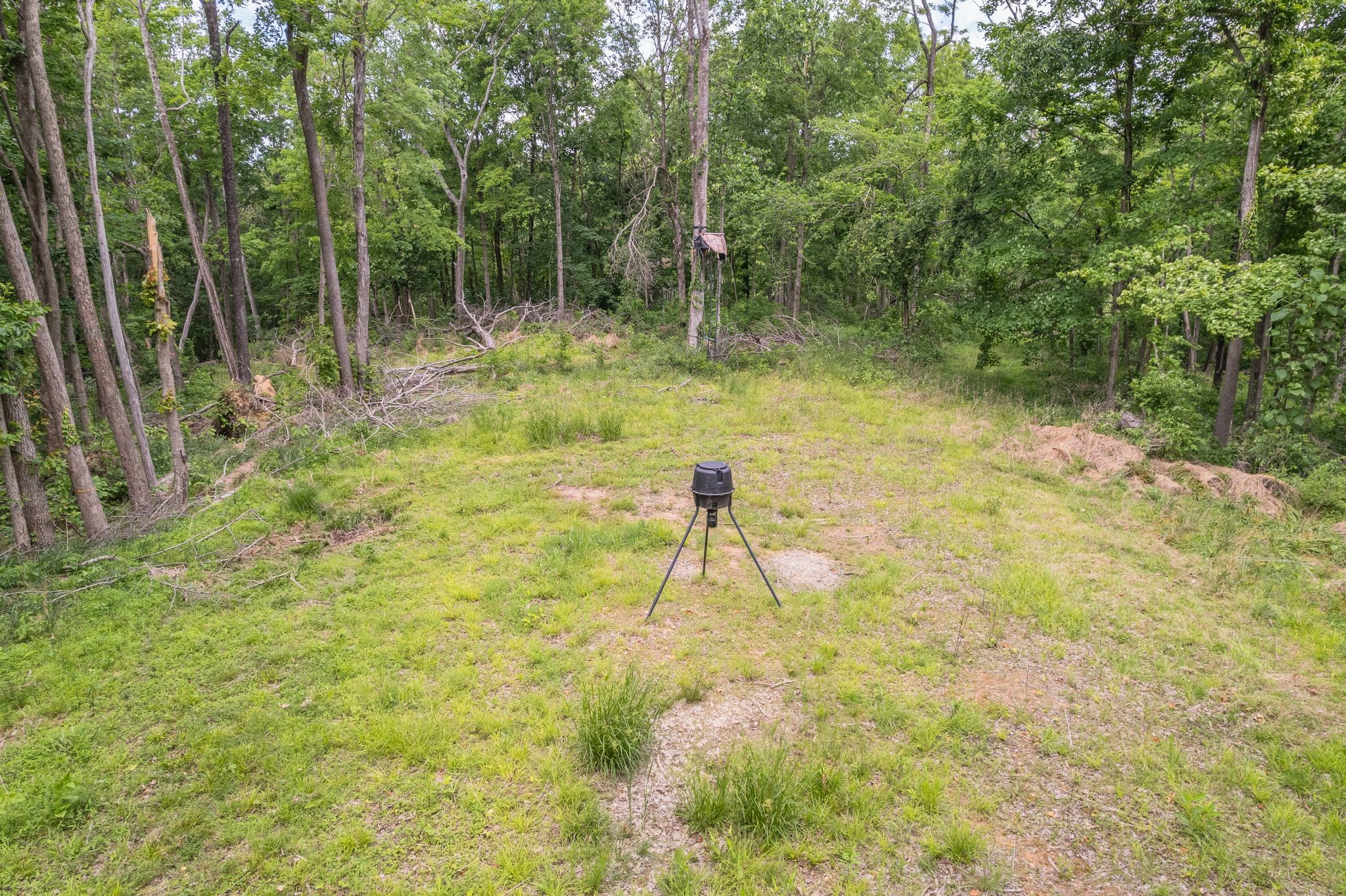 0 Rbk Bethpage, TN 37022 - Photo 4 of 6