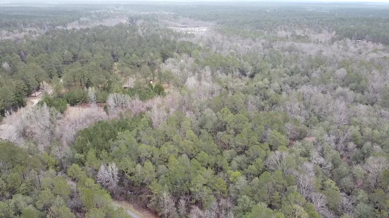 Scottish Lane Bay Minette, AL 36507 - Photo 11 of 25