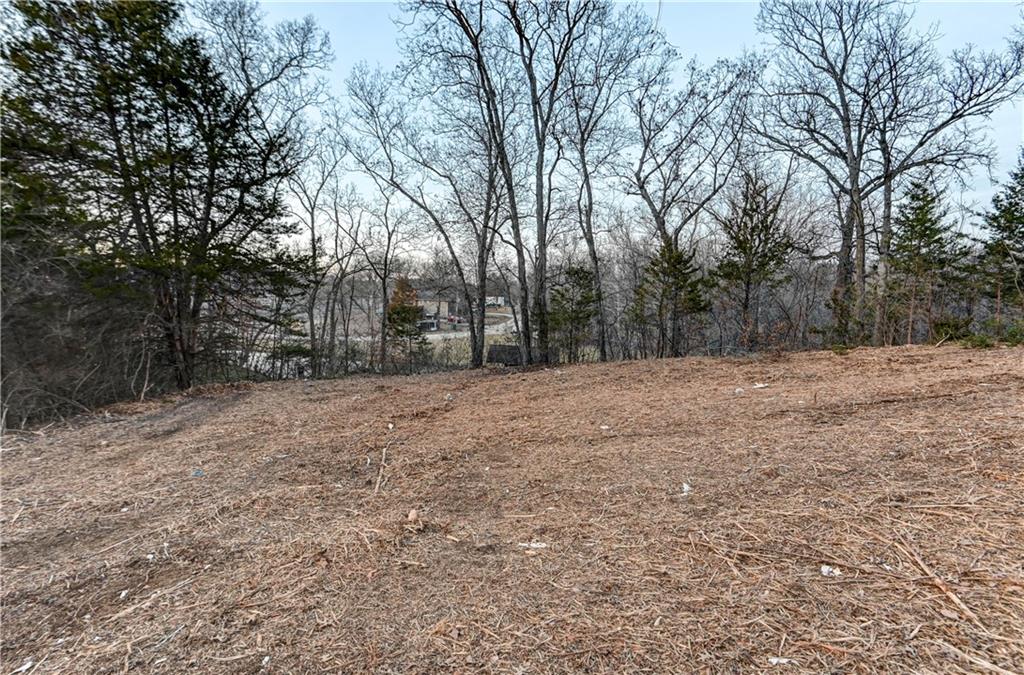 Timberlake Drive Excelsior Springs, MO 64024 - Photo 10 of 32