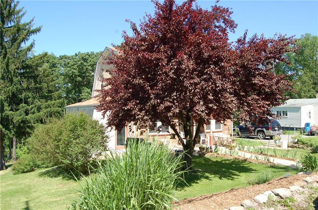 207 McMichael Road Carnegie, PA 15106 - Photo 8 of 18 Gallery Image 8