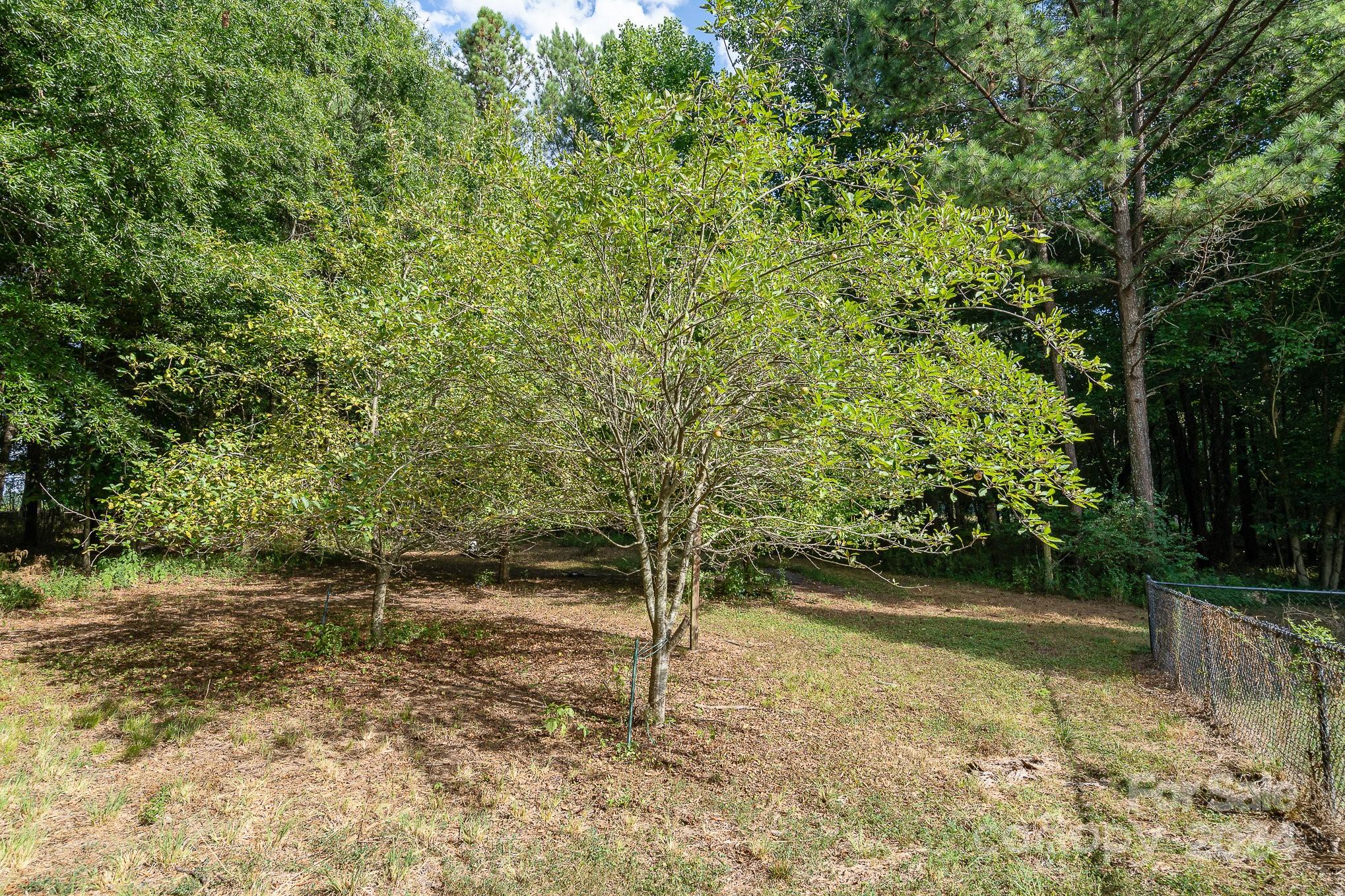705 Flamingo Road Clover, SC 29710 - Photo 34 of 41 Gallery Image 34