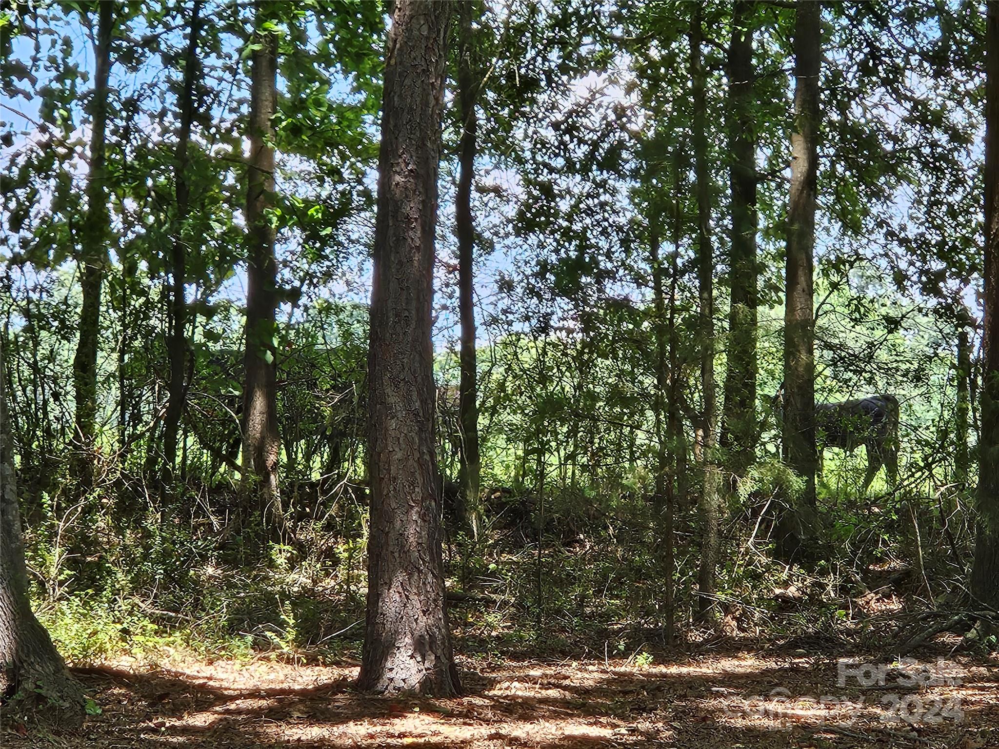 705 Flamingo Road Clover, SC 29710 - Photo 36 of 41 Gallery Image 36
