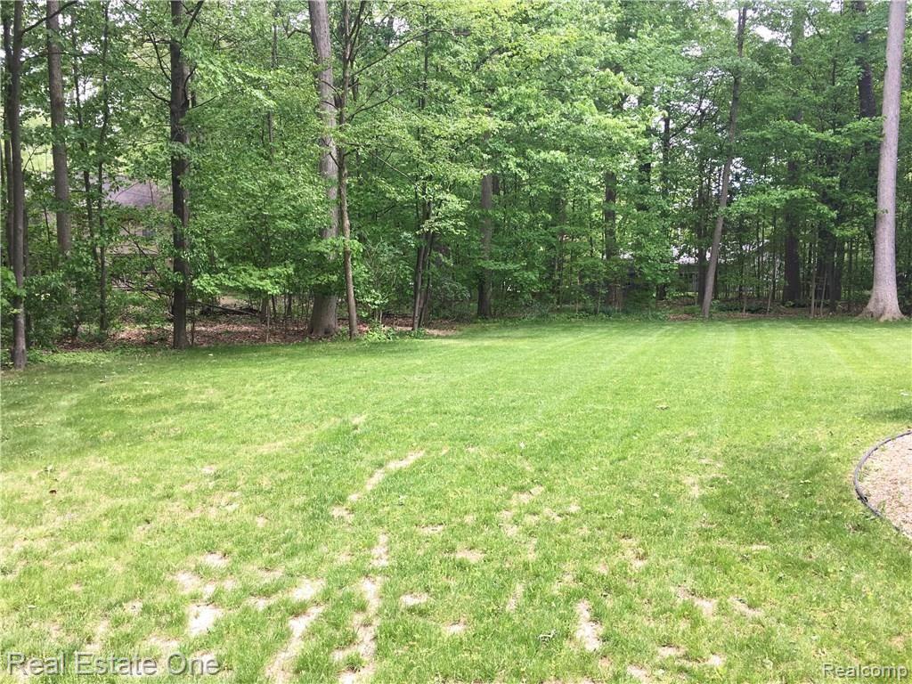 7319 South Beyer Road Frankenmuth, MI 48734 - Photo 16 of 84 Back Yard 2.JPG