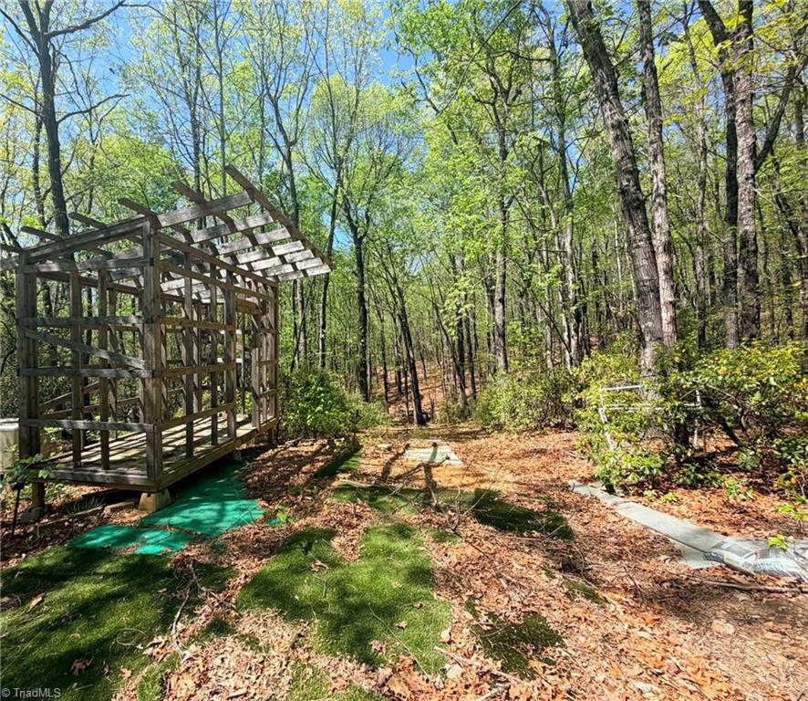 Tbd Raven Ridge Trail Dobson, NC 27017 - Photo 4 of 17 Gallery Image 4