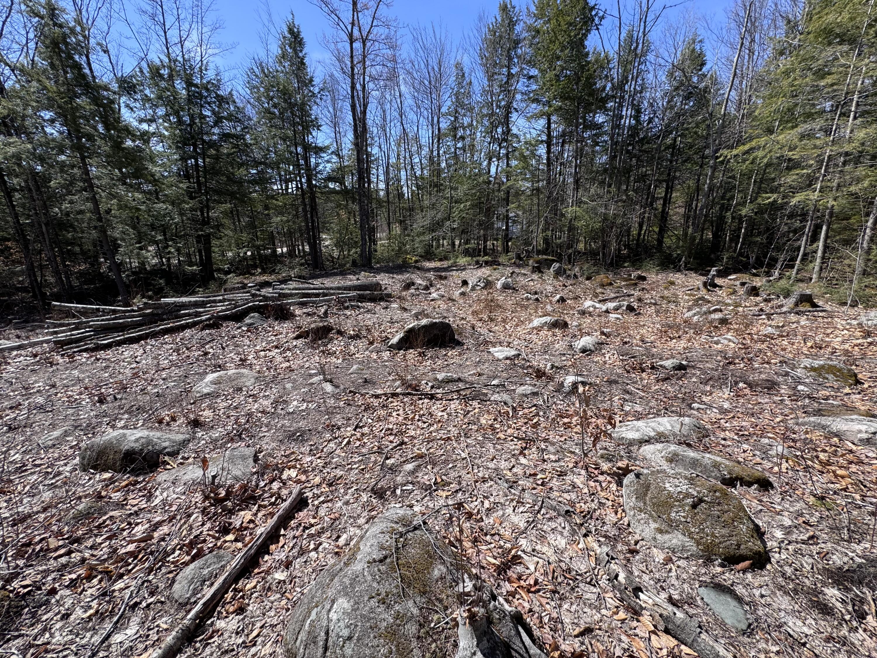 11 Ward Road Sebago, ME 04029 - Photo 4 of 6