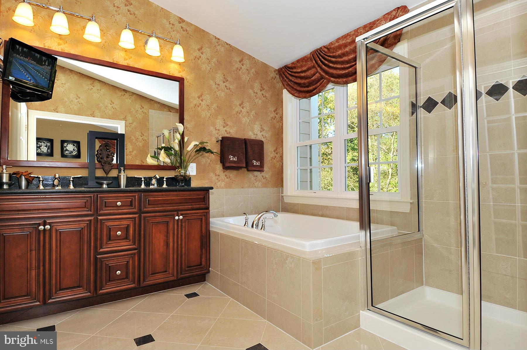 2610 Maple Rock Road Hanover, MD 21076 - Photo 9 of 15 Easton Federal Master Bath