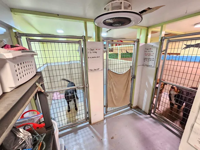 $575,000 | 738 Lynburke Road, Lyndon, VT 05851