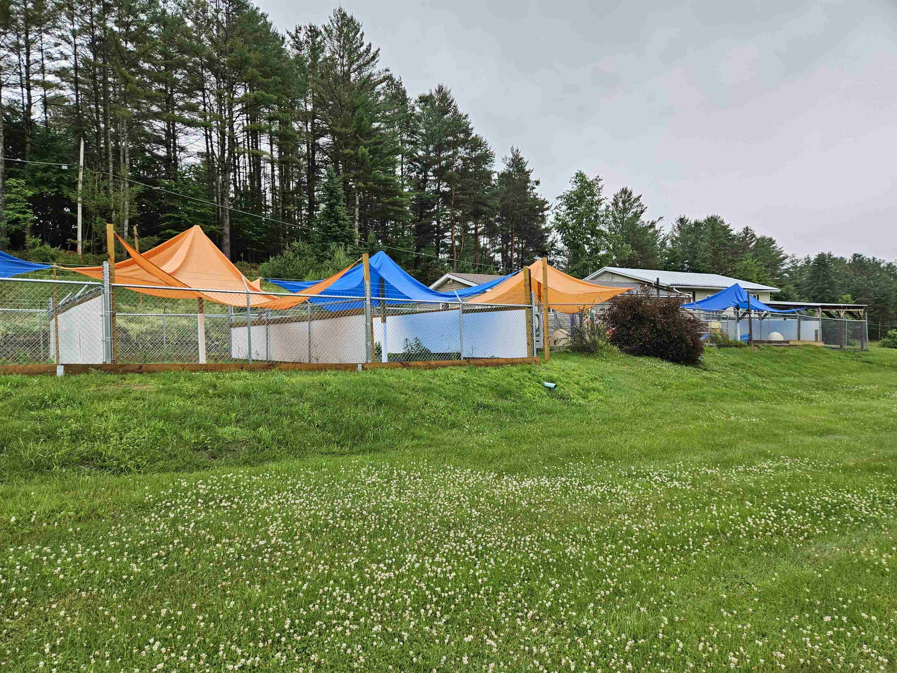 738 Lynburke Road Lyndon, VT 05851 - Photo 25 of 28