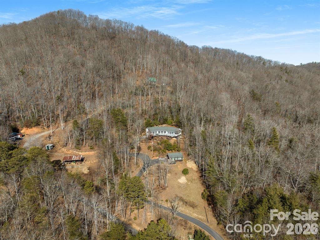 56 Great Horned Owl Road Candler, NC 28715 - Photo 28 of 32 a view of a dry yard with mountains in the background