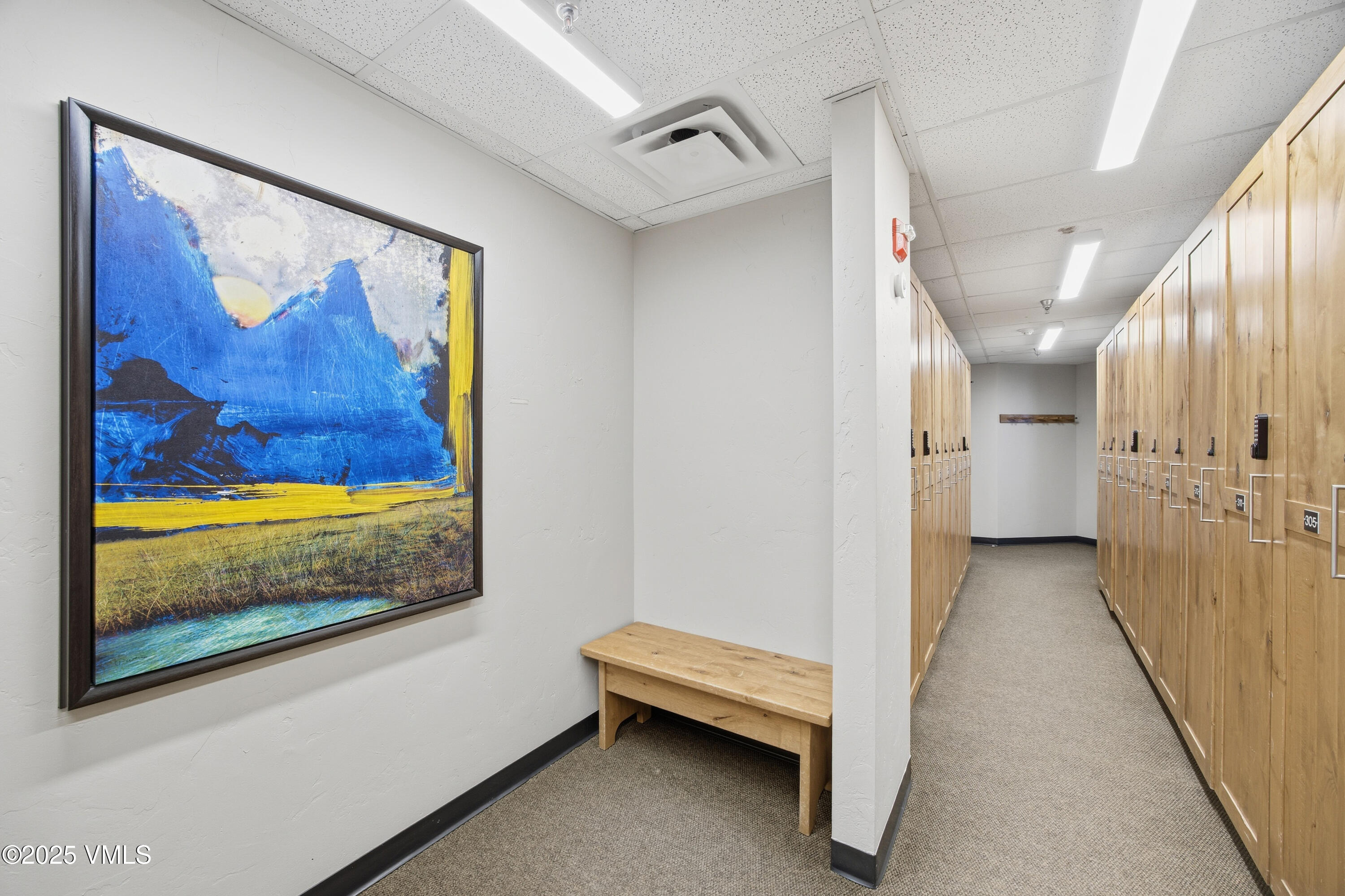 38390 Hwy 6 Avon Co 81620, Unit 311 Avon, CO 81620 - Photo 26 of 36 Ski Locker