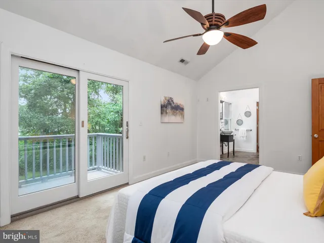 a view of a balcony with a plant