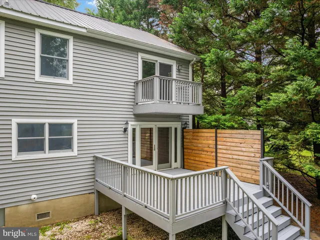 a view of a yard with plants