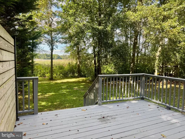 a view of a field with an ocean view