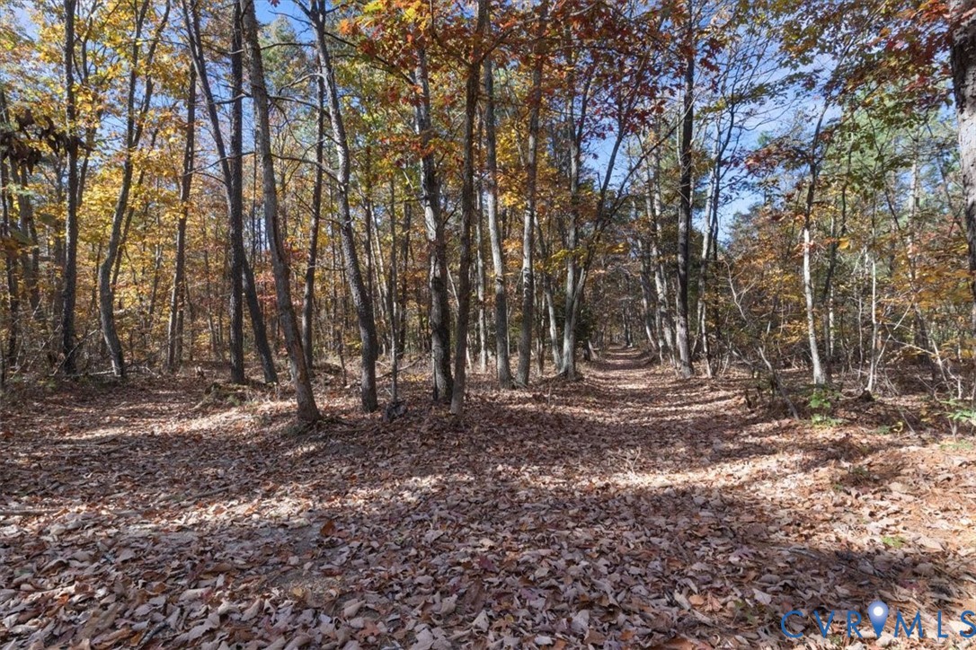 1206 Chopping Road Mineral, VA 23117 - Photo 18 of 22 View of woods
