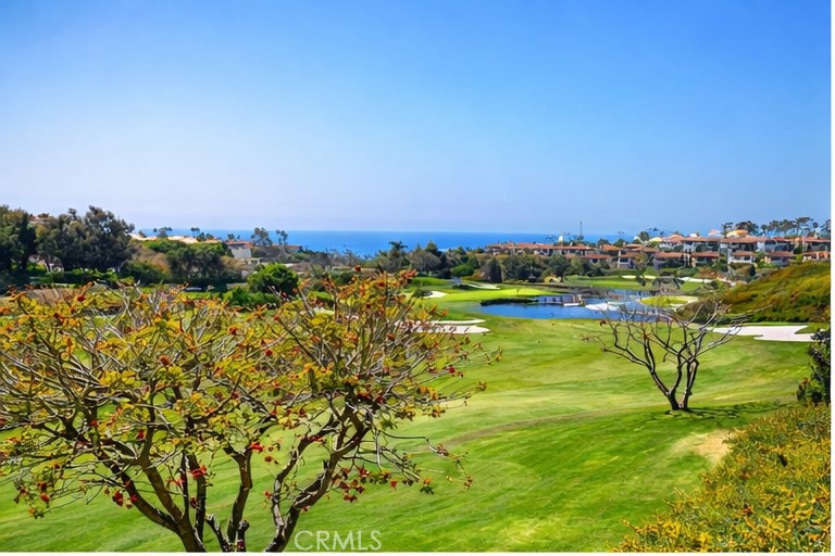27 Via Monarca Street Dana Point, CA 92629 - Photo 54 of 62 a view of a lake with houses