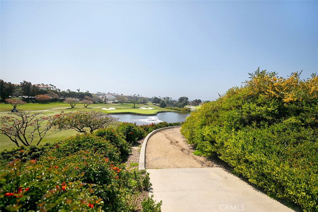 27 Via Monarca Street Dana Point, CA 92629 - Photo 57 of 62 a view of a garden with an ocean