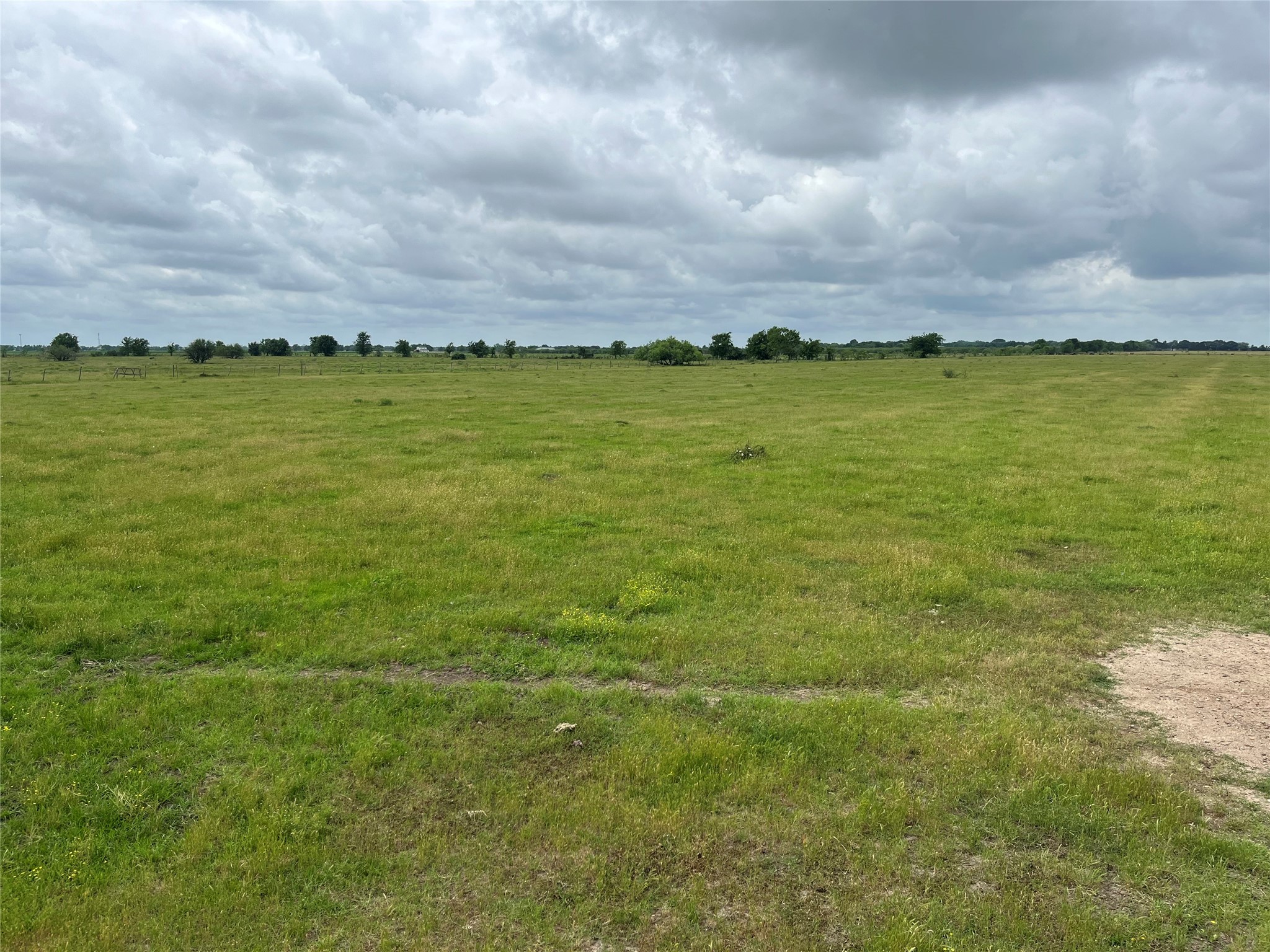 2627 Beasley West End Road Beasley, TX 77417 - Photo 11 of 24