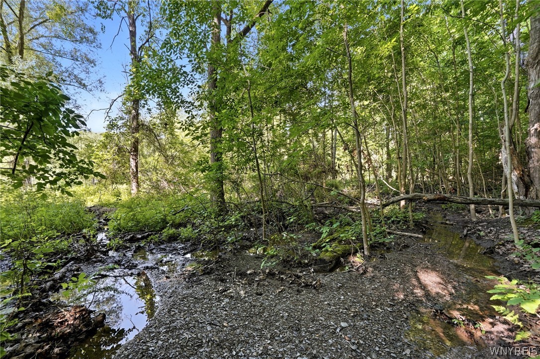 1536 South Creek Road Evans, NY 14047 - Photo 39 of 50