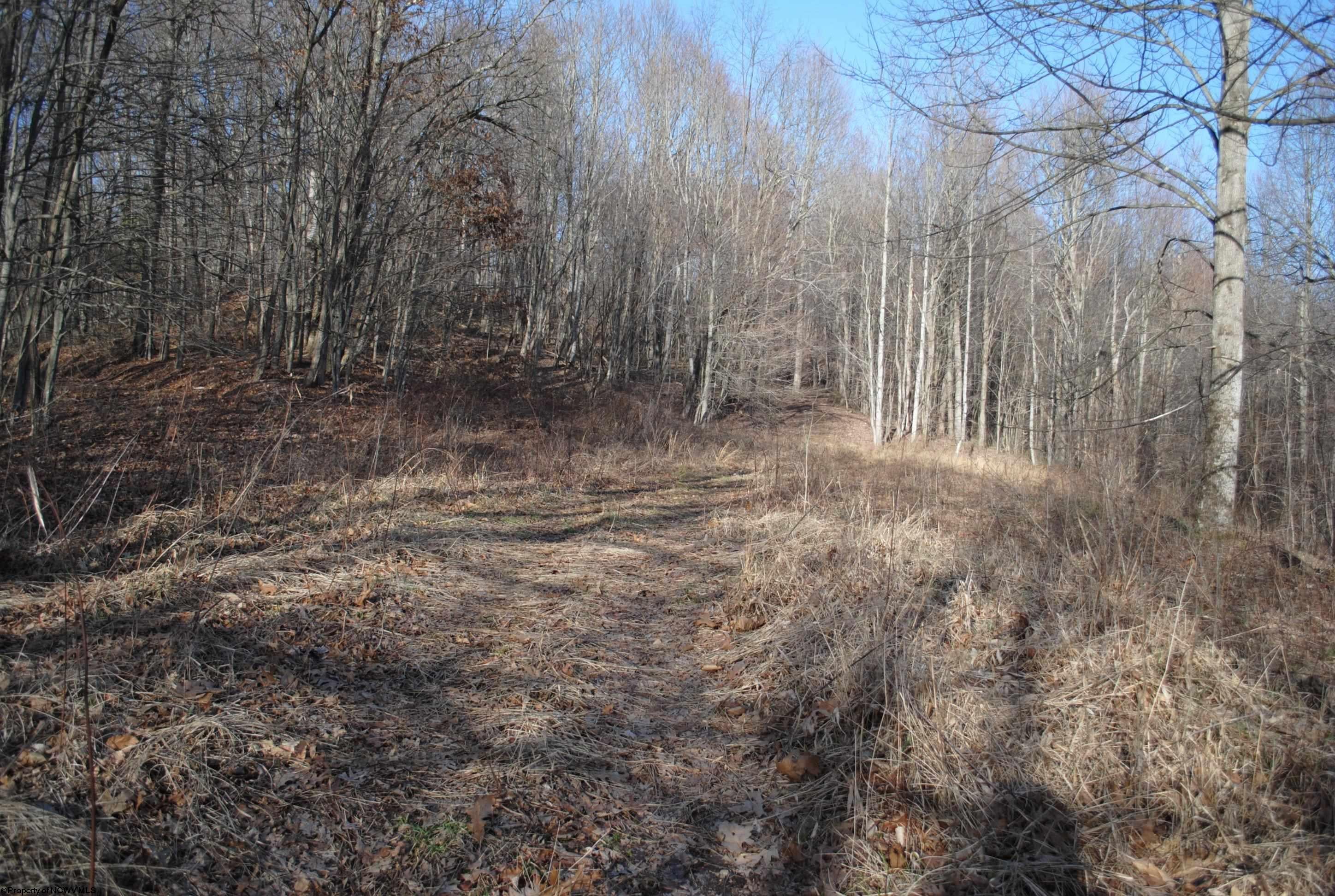 2201 Wash Run Road Philippi, WV 26416 - Photo 16 of 22 Gallery Image 16