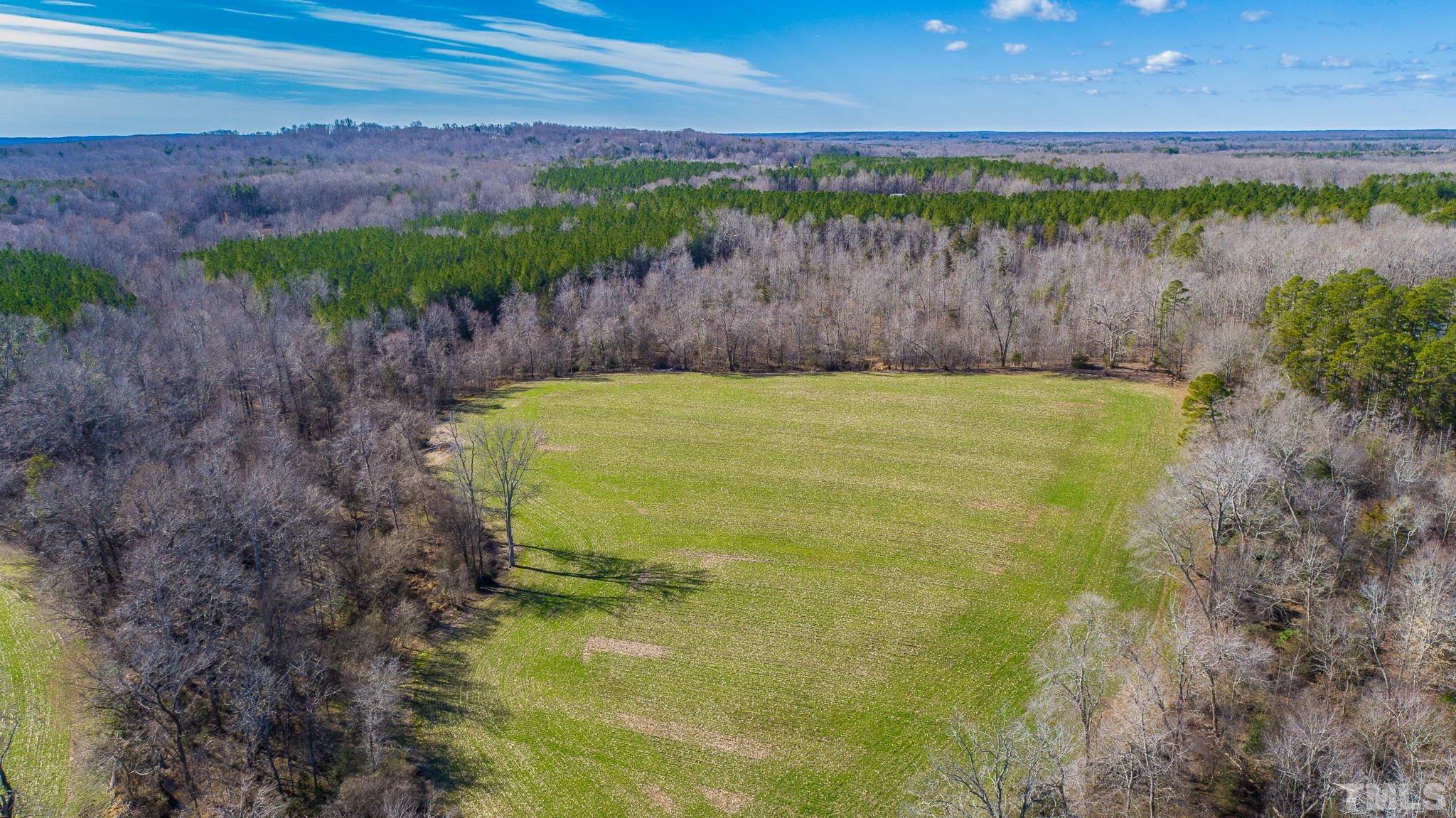 27.29-ac Stoney Mountain Road Rougemont, NC 27572 - Photo 7 of 13 a view of a yard