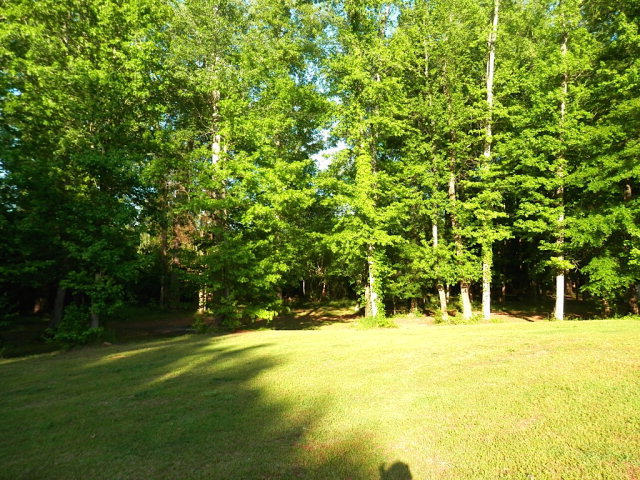 2091 Smith Road Forsyth, GA 31029 - Photo 8 of 13 a view of swimming pool with lawn chairs and large trees