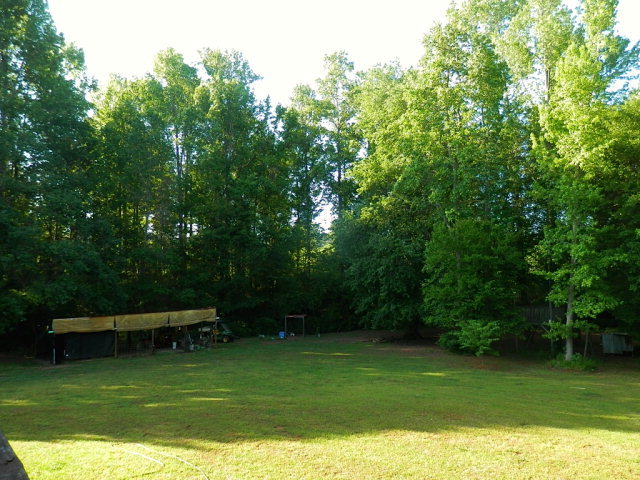 2091 Smith Road Forsyth, GA 31029 - Photo 9 of 13 a view of a swimming pool with a garden