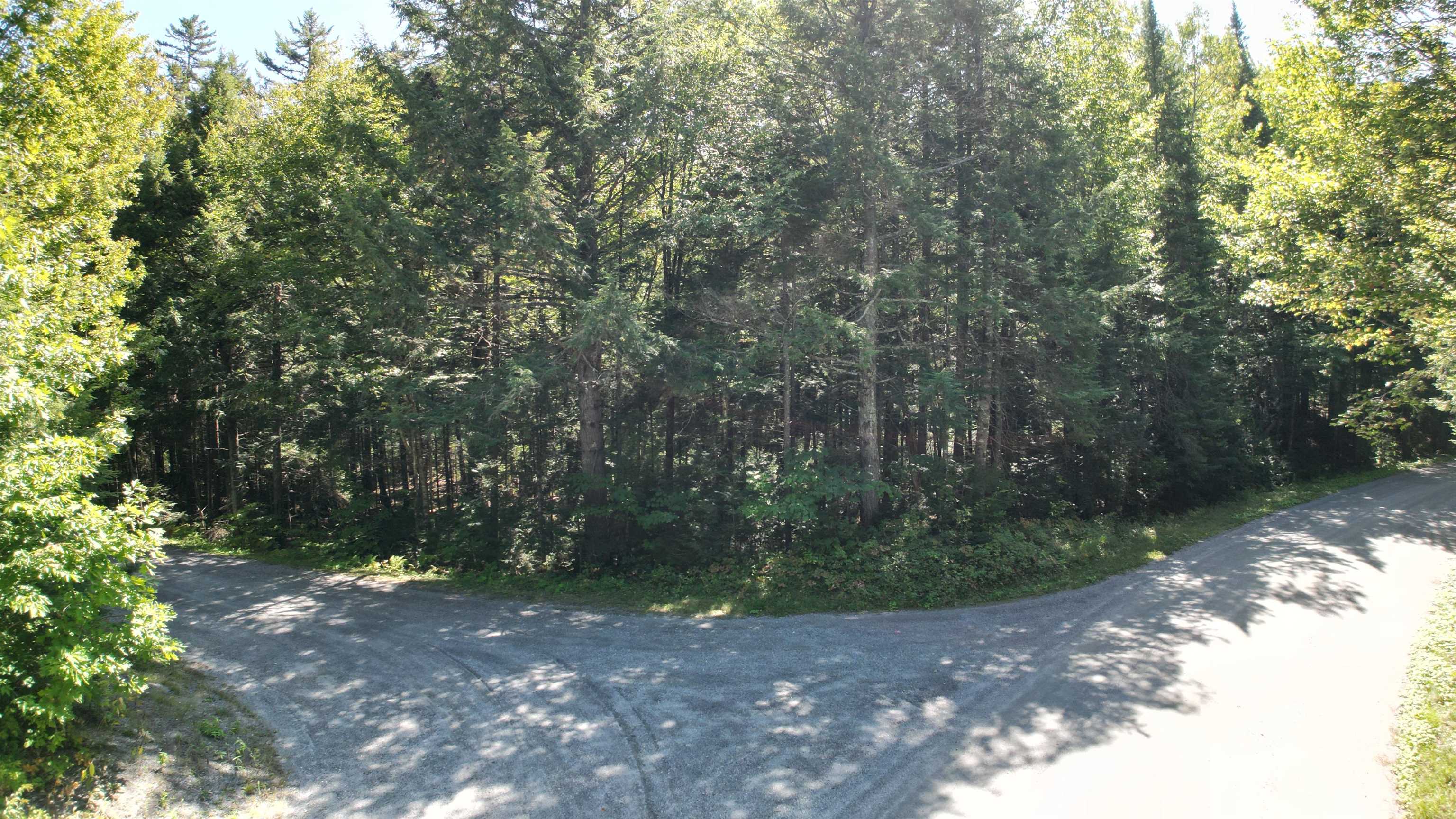 38 Winding Wood Road Grantham, NH 03753 - Photo 10 of 25 Gallery Image 10