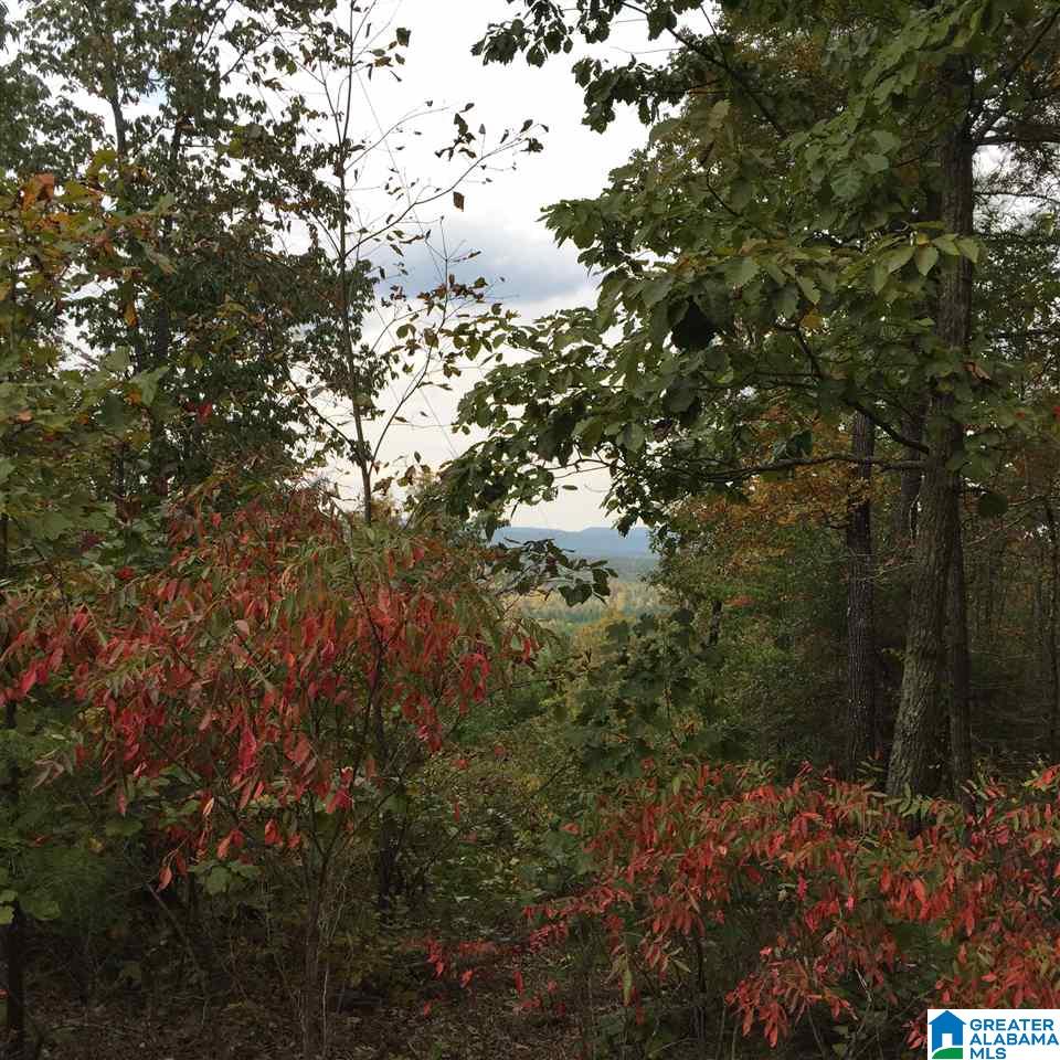 3 A Ridge Lake Road, Unit 3A Columbiana, AL 35051 - Photo 3 of 8 Gallery Image 3