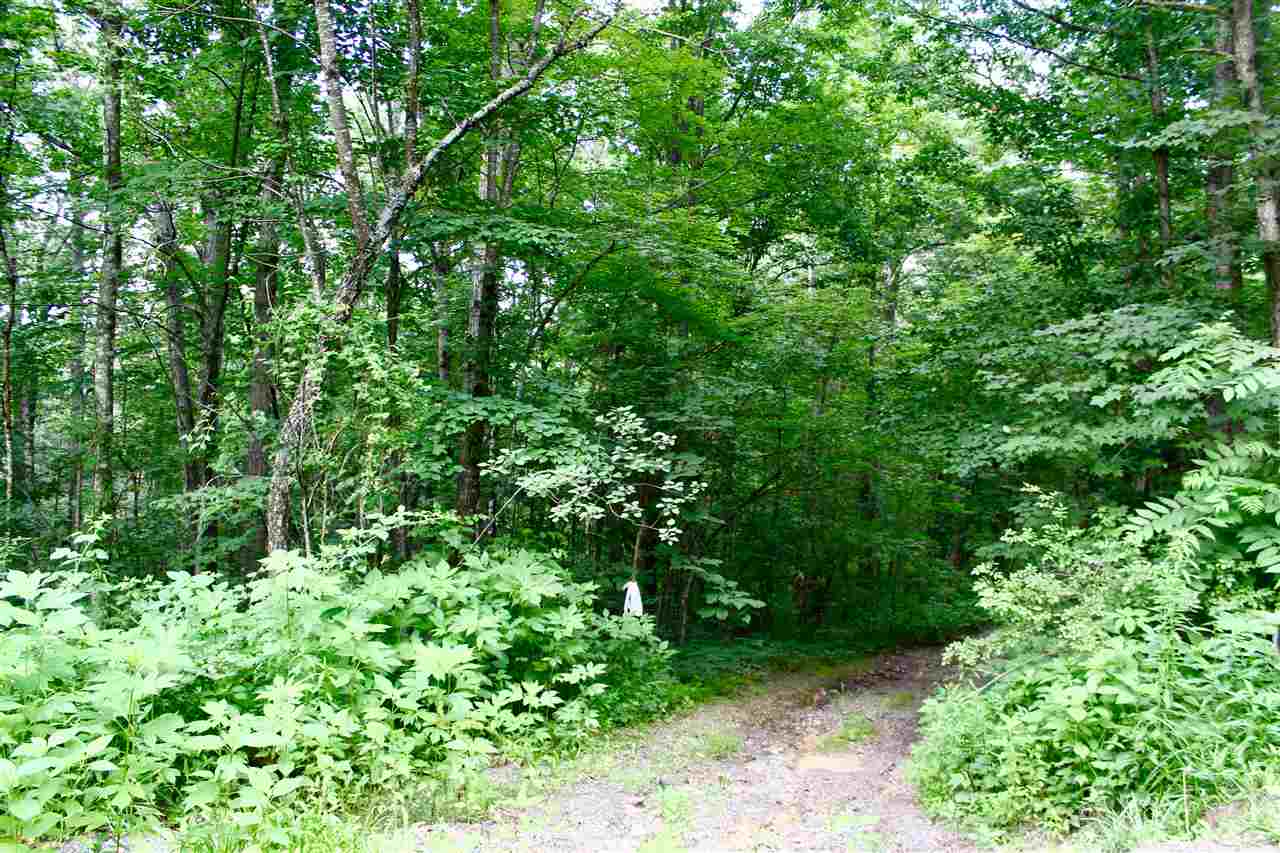 0 Rooster Ridge Lane Dayton, VA 22821 - Photo 1 of 4 a view of a garden