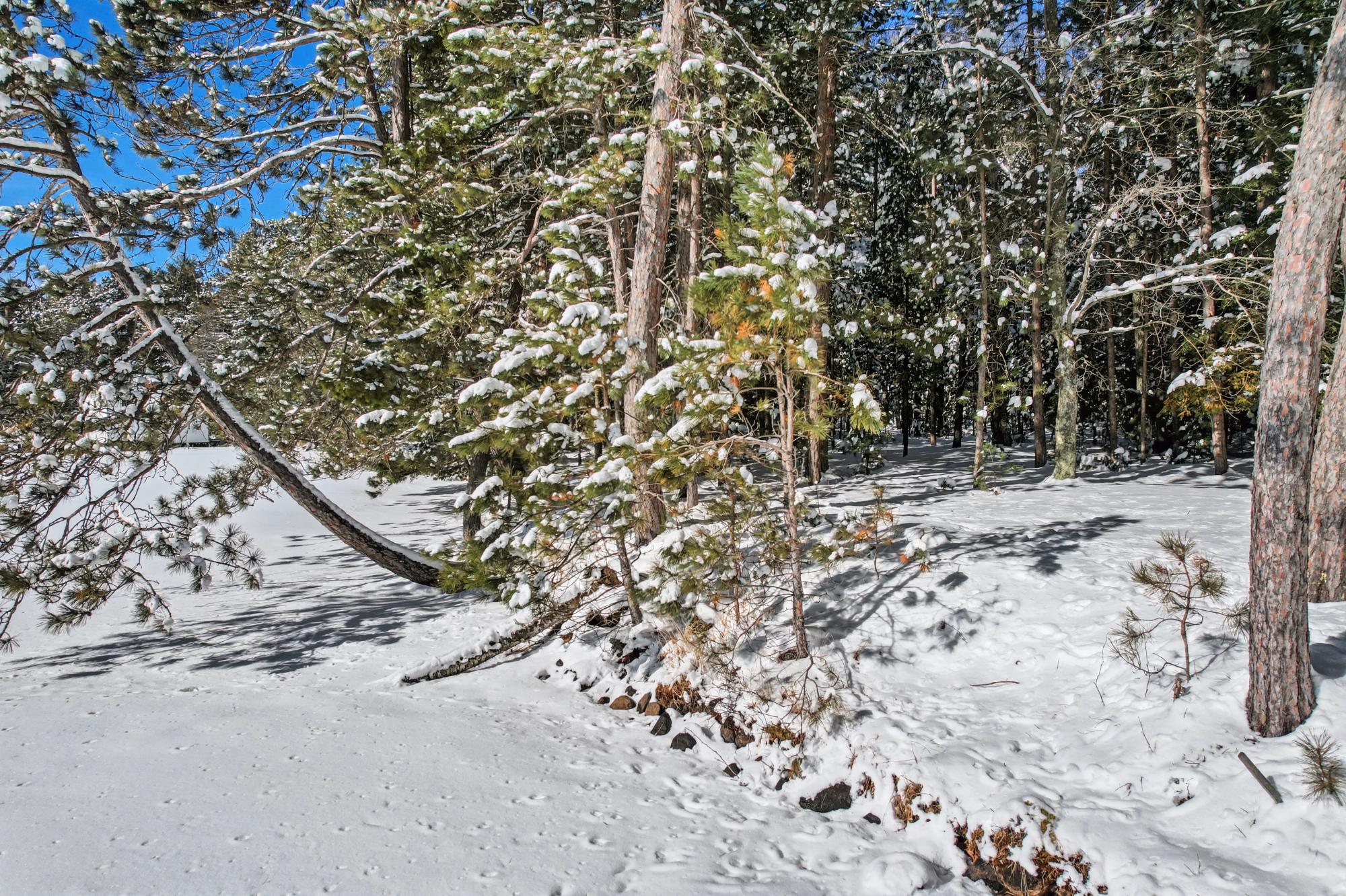 Lot 2 Campground Road Three Lakes, WI 54562 - Photo 4 of 16 Gallery Image 4