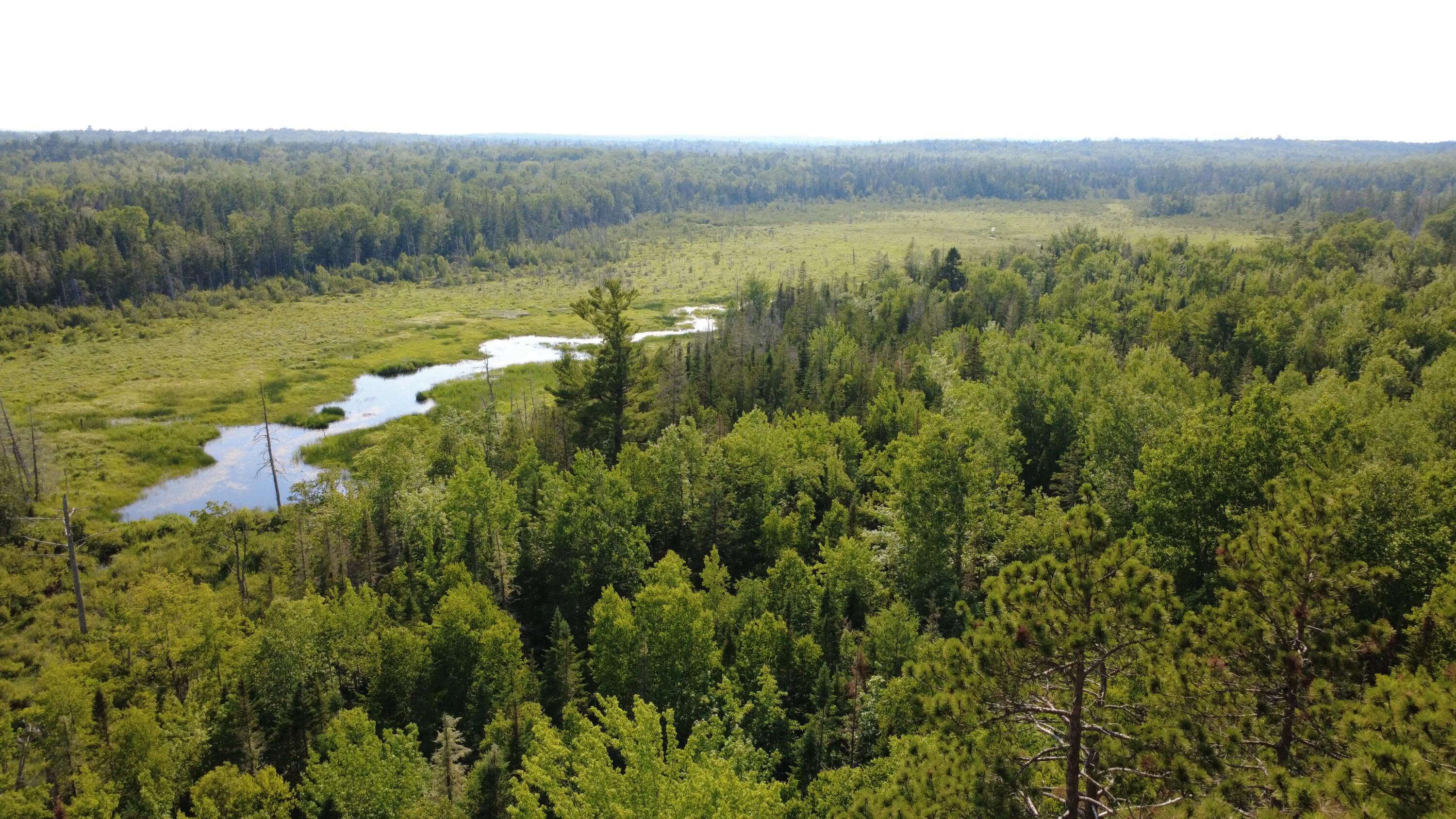 162 Ayers Junction Road Pembroke, ME 04666 - Photo 38 of 42 1000002792