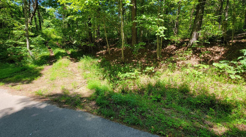 4100 Hazel Patch Road East Bernstadt, KY 40729 - Photo 3 of 4 IMG_4991